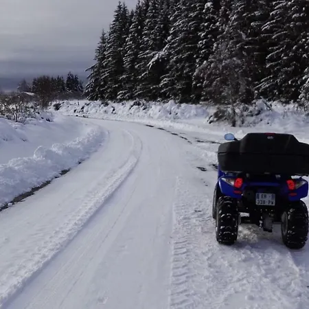 Aux Genets De Josephine *