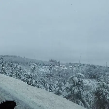 Aux Genets De Josephine