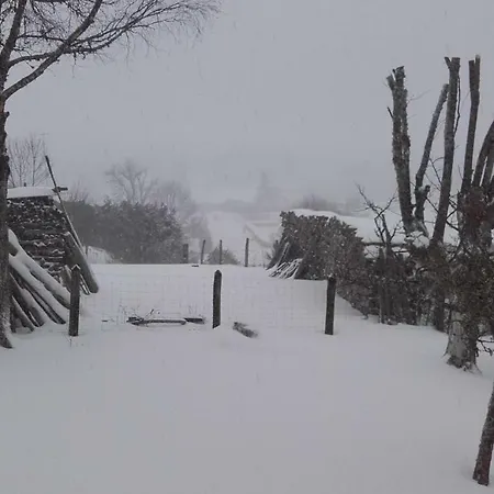 Aux Genets De Josephine *