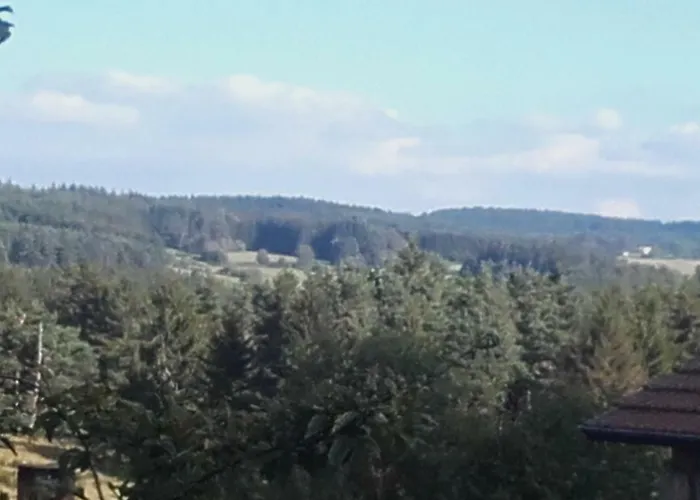 Aux Genets De Josephine *