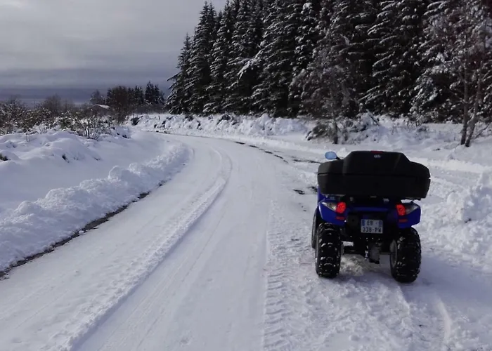 Aux Genets De Josephine *