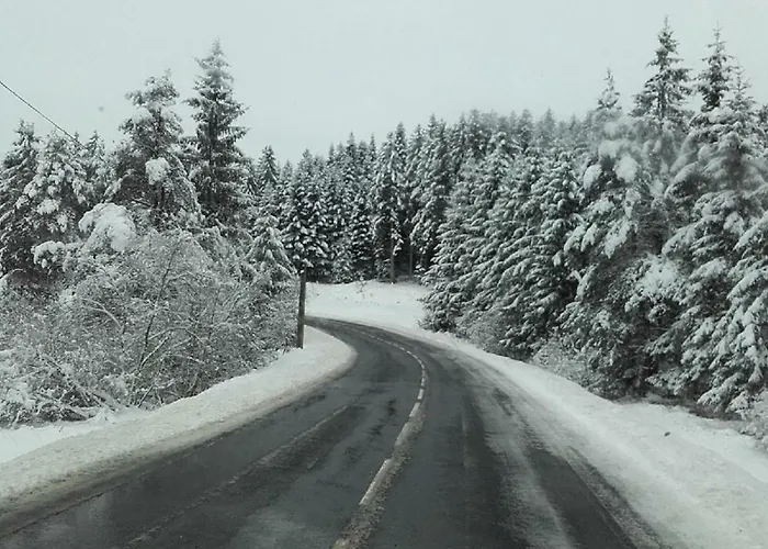 Aux Genets De Josephine Kwatera prywatna