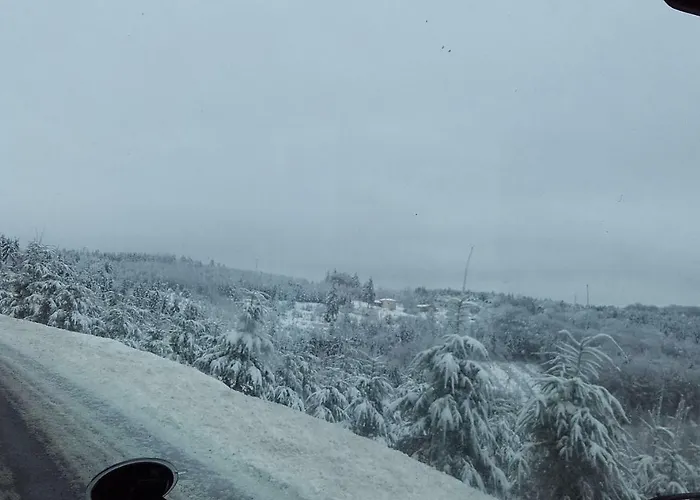 Aux Genets De Josephine