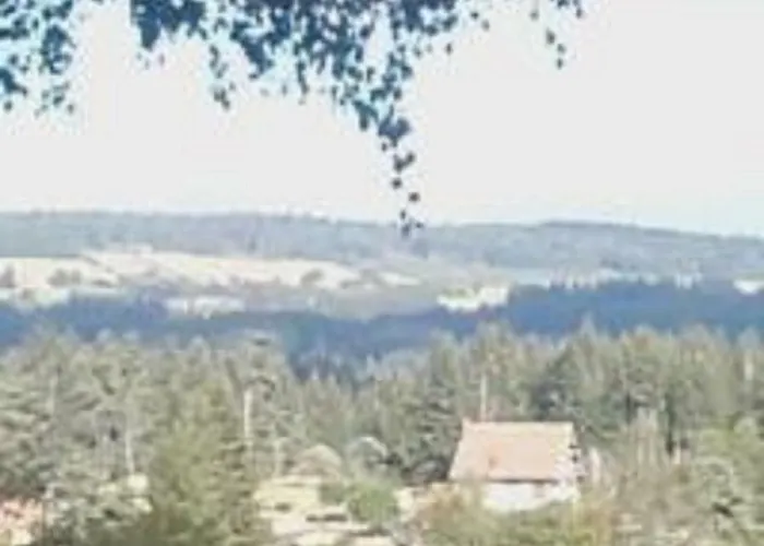 Aux Genets De Josephine *