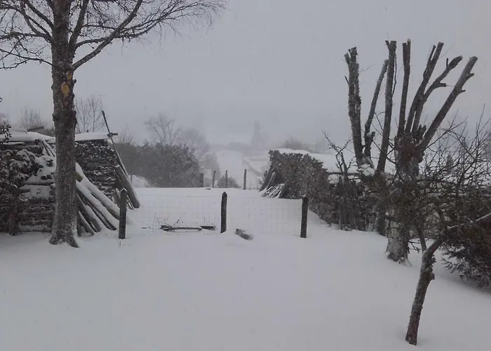 Aux Genets De Josephine *